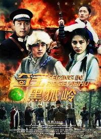 黑狐在线观看,暗网风云,揭秘网络世界的神秘较量  第3张 黑狐在线观看,暗网风云,揭秘网络世界的神秘较量  第3张