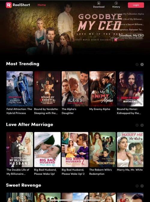 电视剧网站在线观看,电视剧网站在线观看攻略  第2张 电视剧网站在线观看,电视剧网站在线观看攻略  第2张