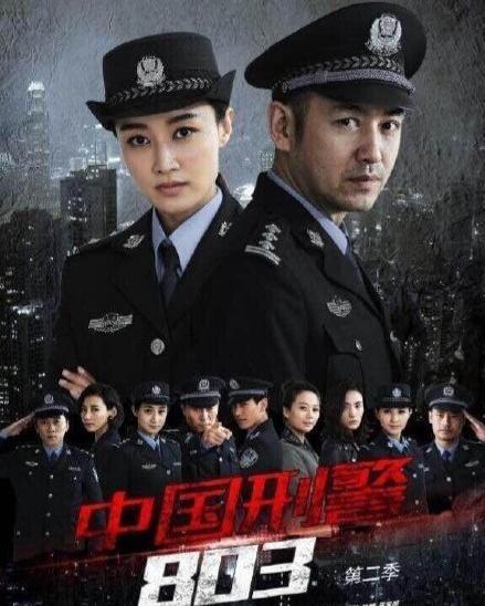 电视剧中国刑警803在线观看,揭秘罪案背后的真相  第2张 电视剧中国刑警803在线观看,揭秘罪案背后的真相  第2张
