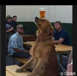 二狗爆料冥想视频,冥想视频背后的神秘力量  第3张 二狗爆料冥想视频,冥想视频背后的神秘力量  第3张