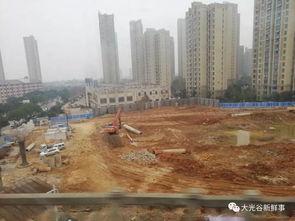 武汉江夏最新爆料,揭秘武汉江夏区最新动态与热点事件  第2张 武汉江夏最新爆料,揭秘武汉江夏区最新动态与热点事件  第2张