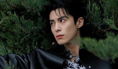 娱乐圈吃瓜爆料白鹿王鹤棣,甜蜜互动引粉丝热议  第2张 娱乐圈吃瓜爆料白鹿王鹤棣,甜蜜互动引粉丝热议  第2张