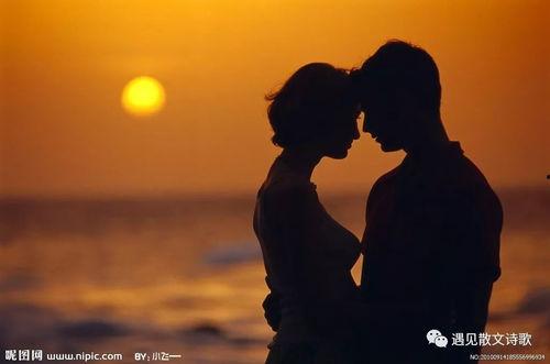 我的人在线观看,揭秘人在线观看的奇幻之旅  第2张 我的人在线观看,揭秘人在线观看的奇幻之旅  第2张